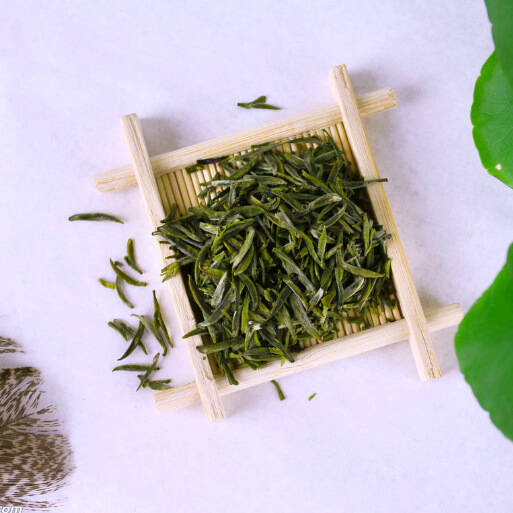 茶界小白的入门功，绿茶到底怎么