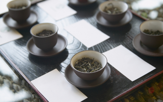 喝茶，品不一样的陈年老茶，感受