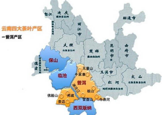 人人都言古树茶,我们喝古树茶,