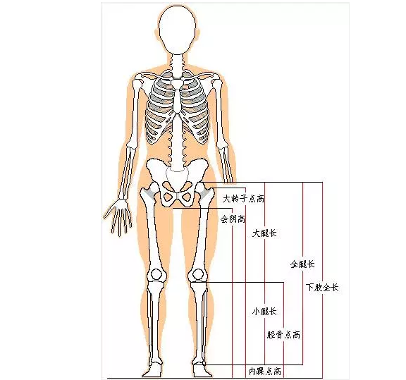 让你变成小短腿儿的不是胯宽,而是"假胯宽"