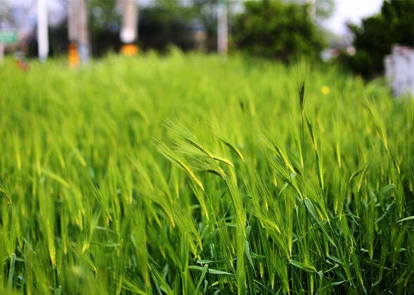 柴米油盐酱醋茶，厨房的主角怎能