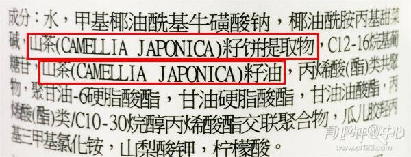 上海亲子嘉年华暨泰迪熊妙趣乐园