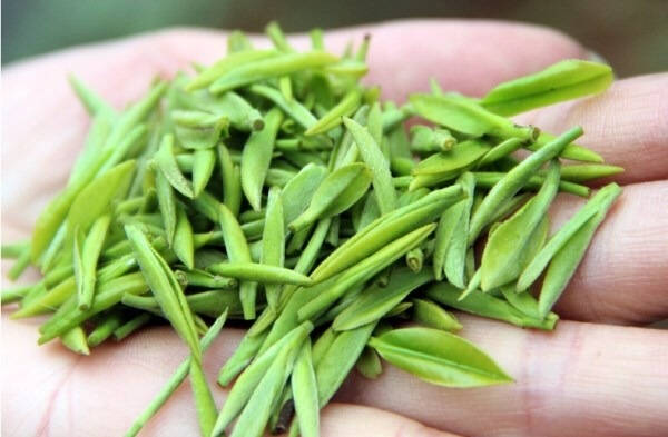 您与可以称得上忘年老友的朋友多长时间没有联系了呢？