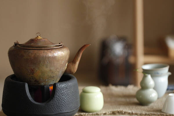 白茶这么好，怎么泡，更好喝，更