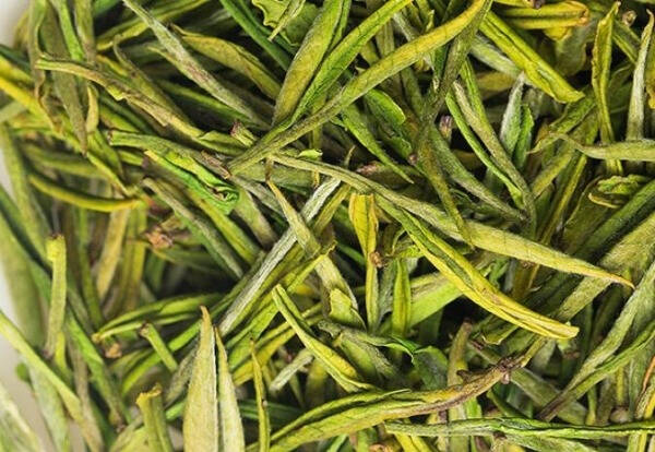 您与可以称得上忘年老友的朋友多长时间没有联系了呢？