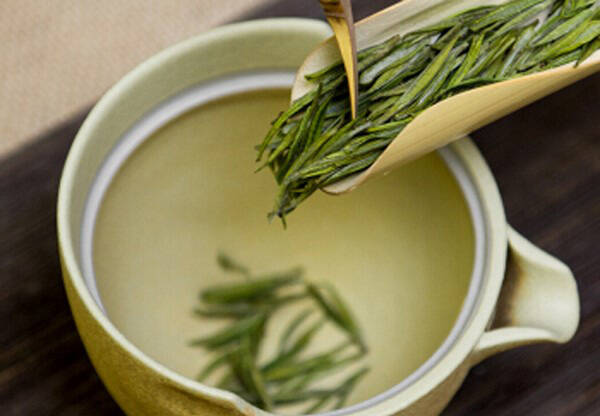 茶中贵族，你所不了解的白茶之前
