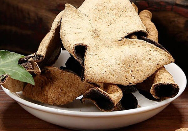 冬日里每个时候的一杯茶，修身养