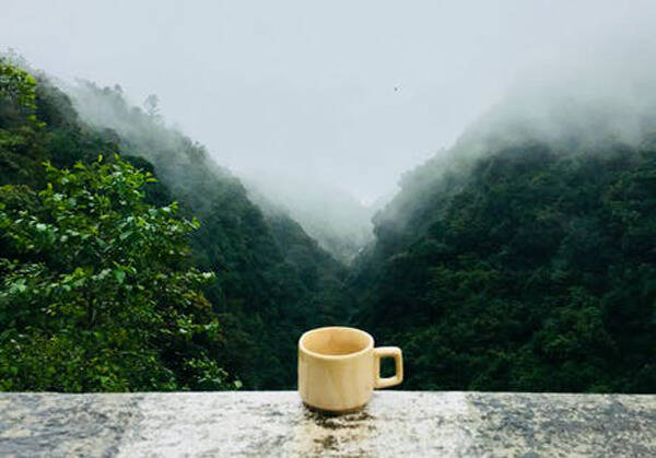 静谧午后阳光正好，品一铭香茶度
