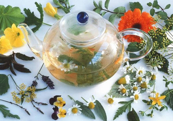 浪漫格调花草茶，美丽就在芬芳里