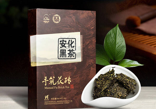 你只知道雨前茶，发酵陈化五年的