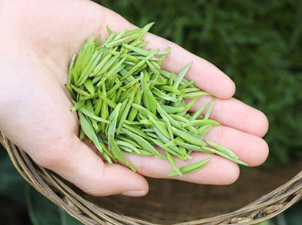 您与可以称得上忘年老友的朋友多长时间没有联系了呢？