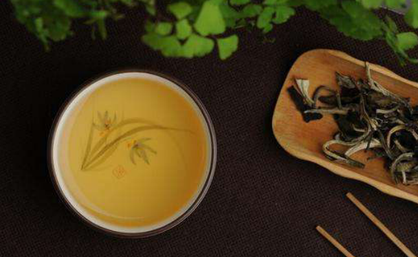 都说普洱古树茶比小树茶好喝，比