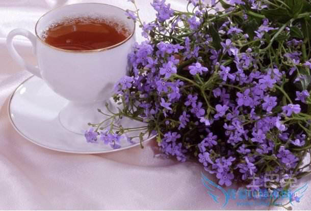 炎炎夏日养生喝什么？清新花茶了