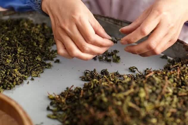 购茶时，先学会看干茶。干茶，在台湾，也叫茶干。1、