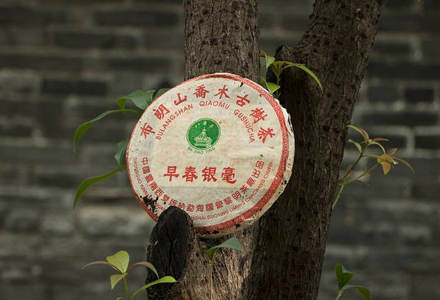 茶香，是当我们端起一杯茶时的感
