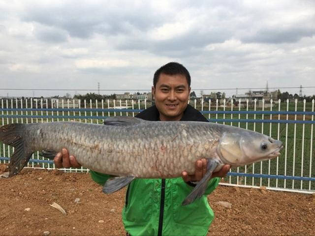 大鱼