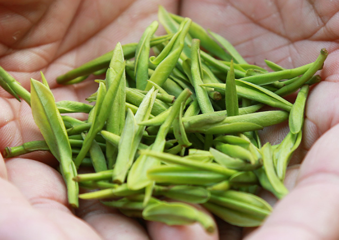 静静品味甘醇鲜香好茶，惬意享受