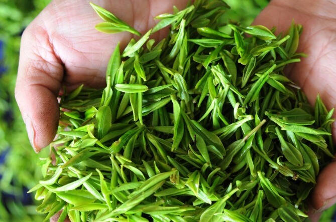 存茶指南（建议收藏）宋代赵希鹄在《调变类编》中提到