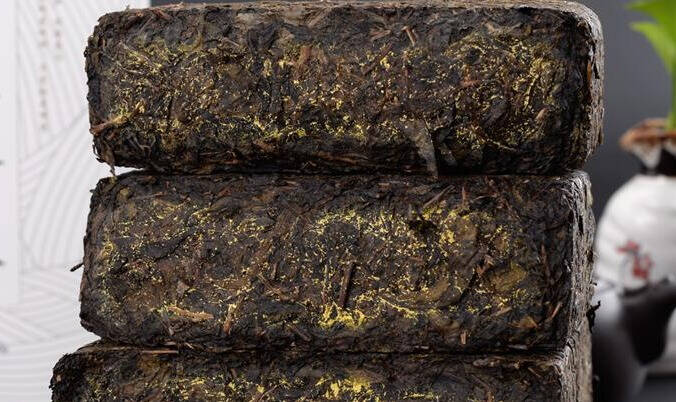 茯茶含有哪些对人体有益物质，为
