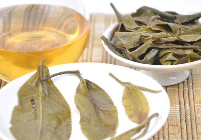 关于普洱茶老黄片,你需要了解什