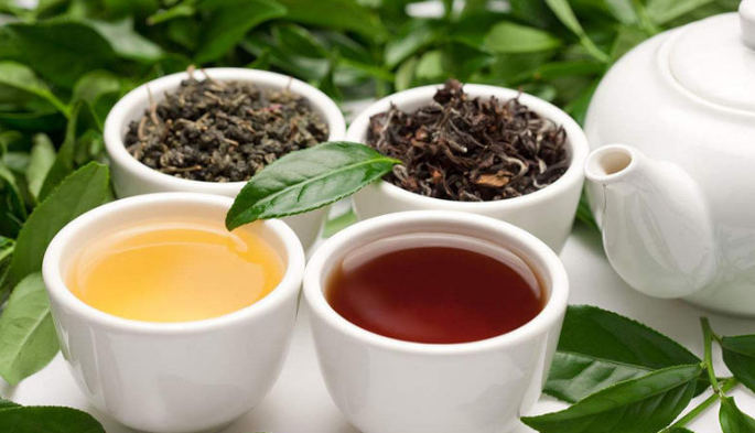 饮茶“七不要”，茶余饭后喝出好