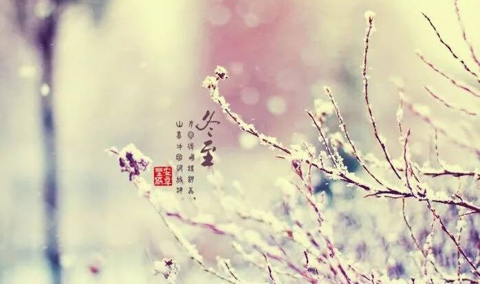 冬天要喝什么茶？跟着节气来喝茶