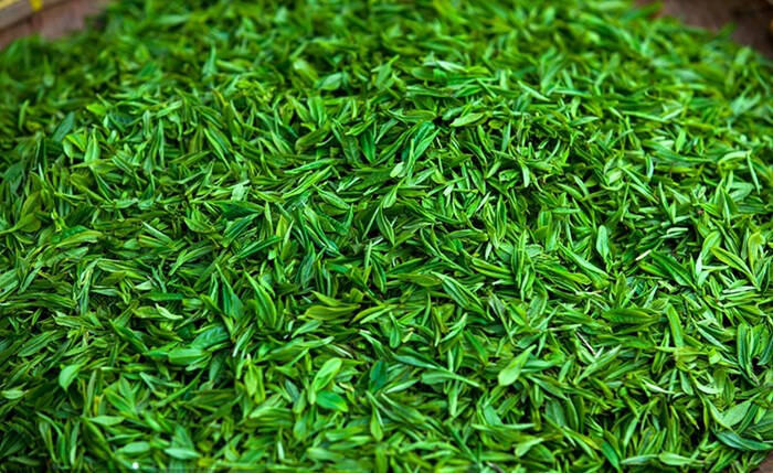 去湿该喝什么茶快来看看