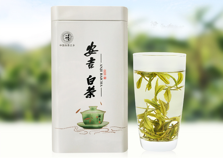 过年送礼选安吉白茶，健康养生口