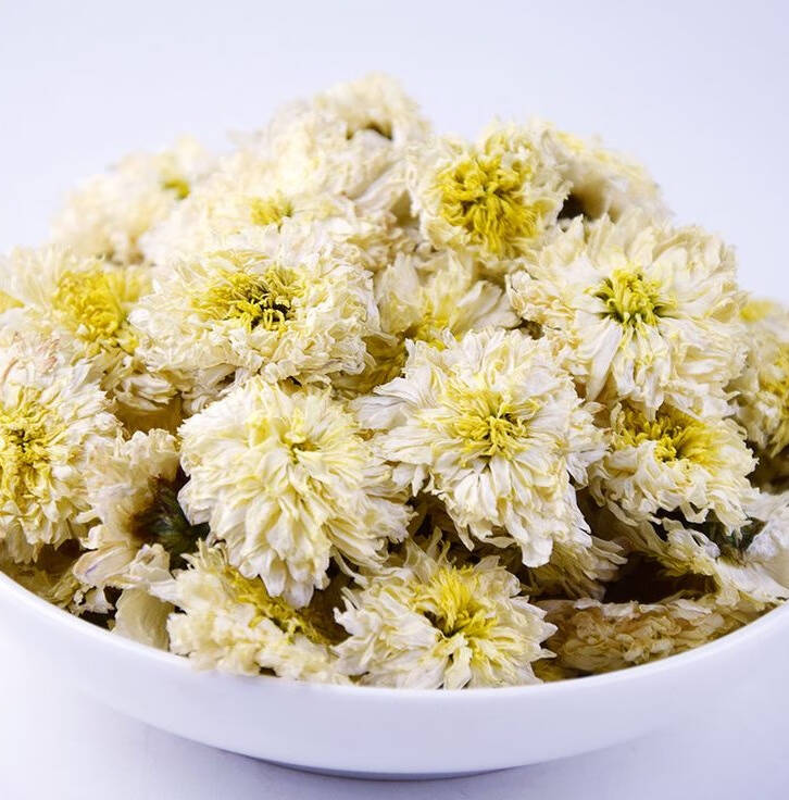 　菊花属于菊科植物，喜欢温暖，潮湿的气候，但也能抵