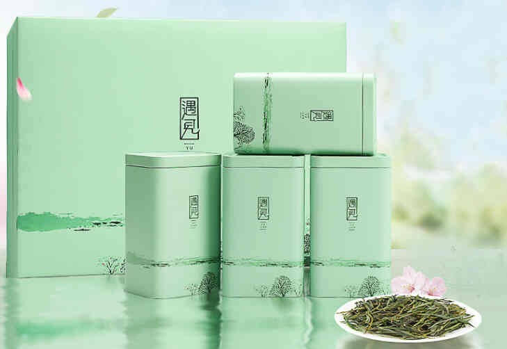 拜访长辈，一杯香浓清冽的茶展现
