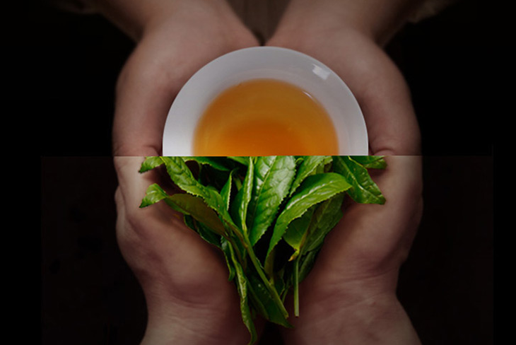 好的茶叶让喝茶更有感觉，更有韵