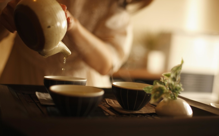 愿用好白茶,换你岁月静好