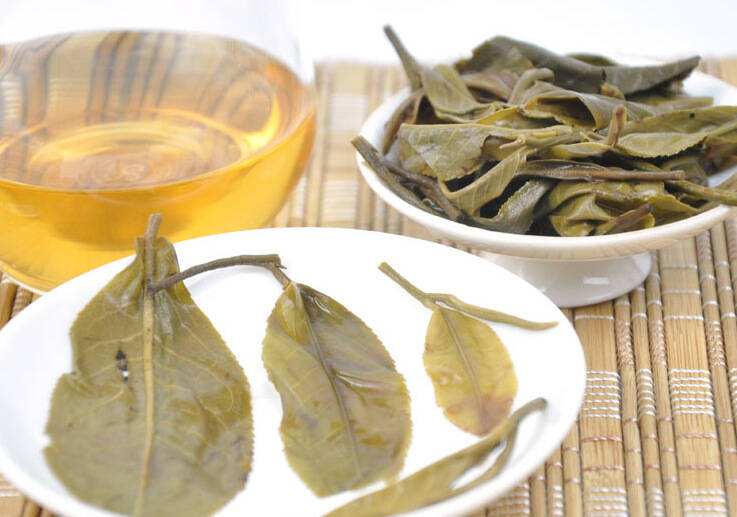 阴雨绵绵,怎么泡的普洱茶不香,