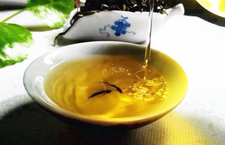 人人都言古树茶,我们喝古树茶,