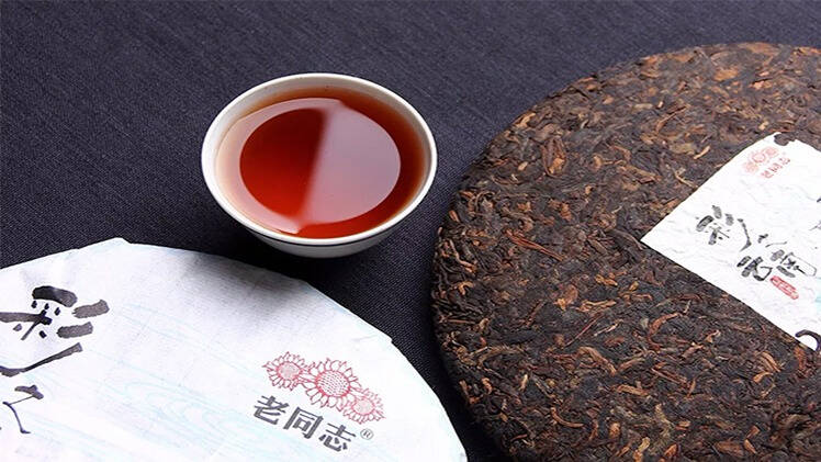 春茶上市，教你通过叶底看普洱春