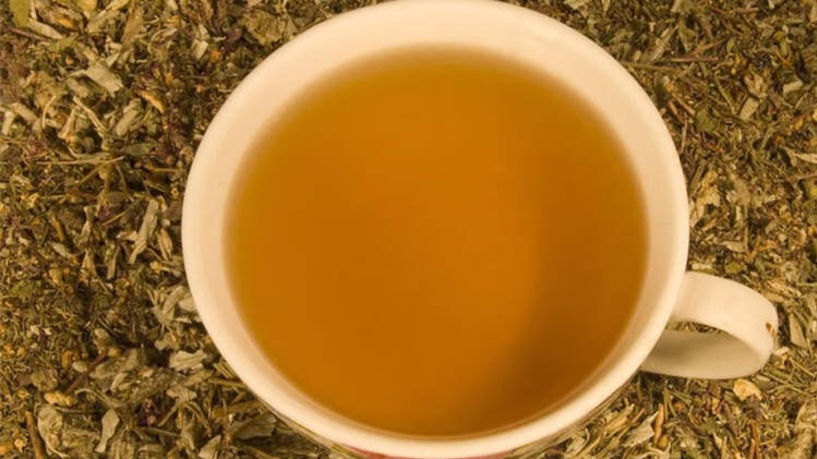 夏日解暑降火必备品，清热润燥好