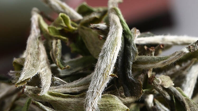 茶可以让你洗涤心灵，茶香更是让