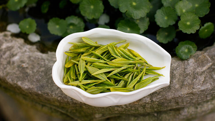 送礼不如送好茶,挑选门道都替你