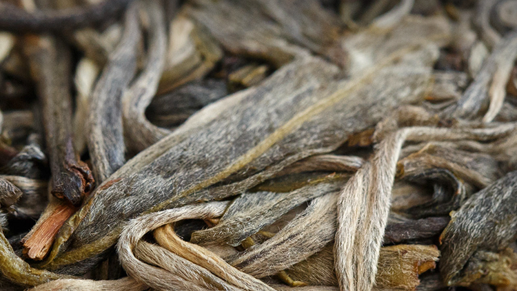 涨知识了，懂茶的人原来都这样泡