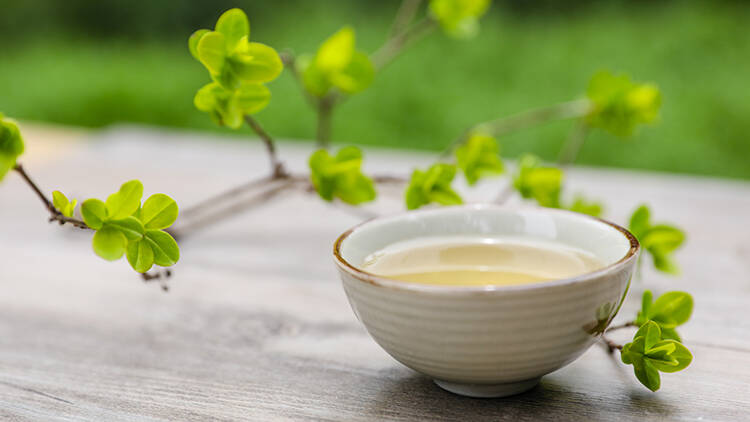 悠悠千年茶文化，还是绿茶滋味多