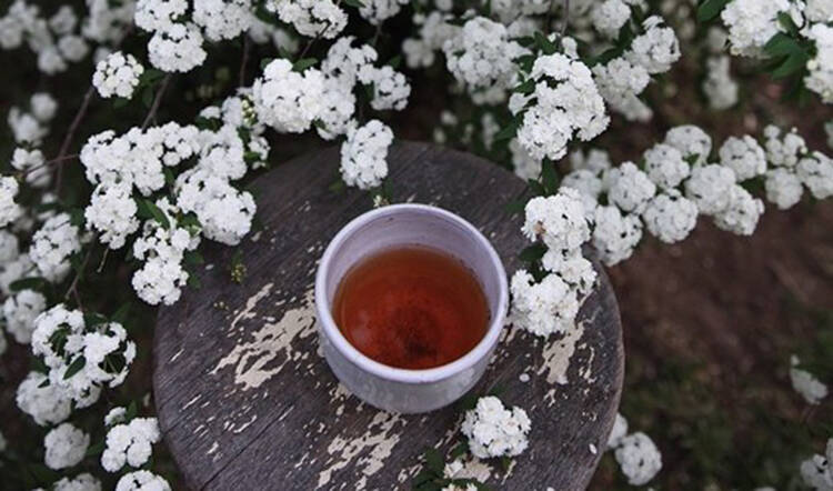 既能送长辈又可自留的养身茶，你