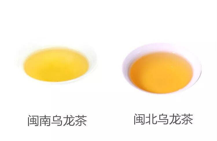半年减38公斤的乌龙茶怎么选，