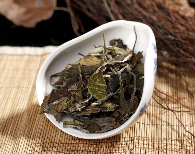 为什么说秋后要多喝白茶，虫草不