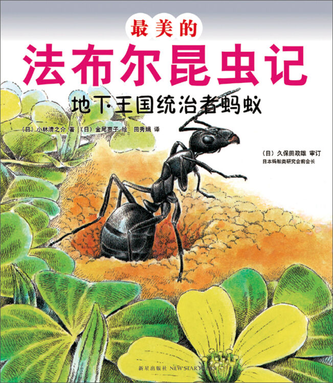 最美的法布尔昆虫记:地下王国统治者蚂蚁