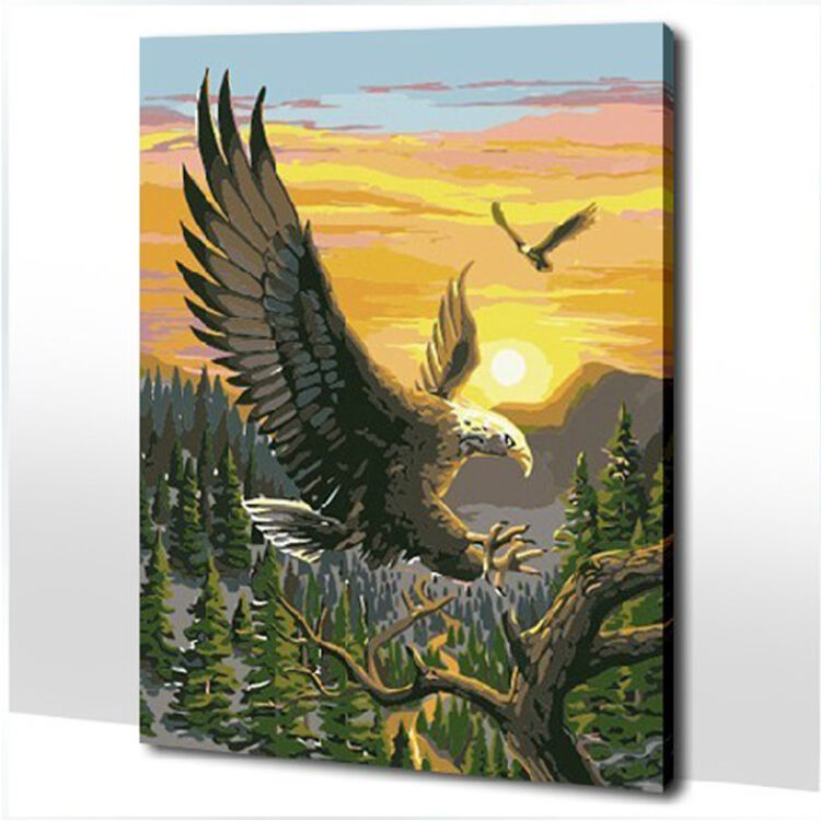 diy手绘数字油画 新款雄鹰40*50cm带内框 花卉风景客厅餐厅人物礼品