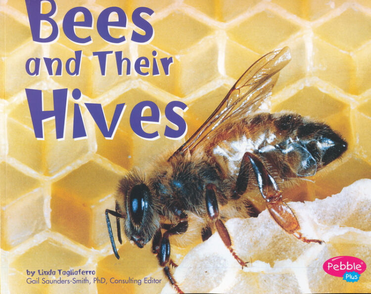 bees and their hives (pepple plus; animal homes) 蜜蜂和蜂巢