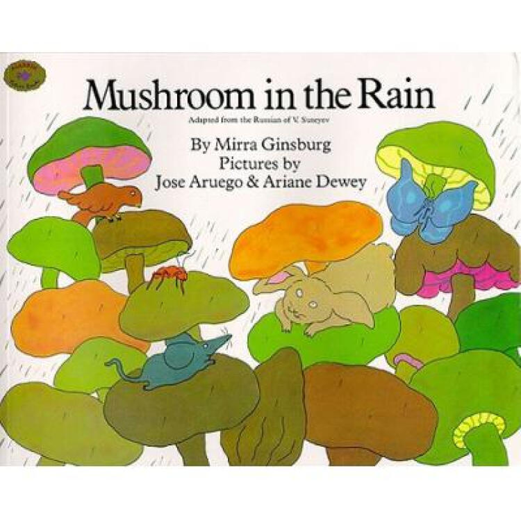 mushroom in the rain【图片 价格 品牌 评论】-京东