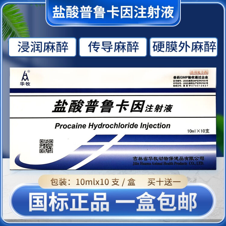 炙升盐酸普鲁卡因注射液针剂兽用猫狗犬中枢神经封闭局部麻醉兽药 10