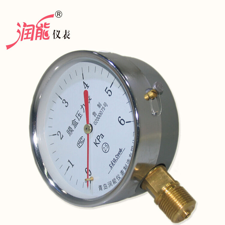 Buy Membrane box pressure gauge YE100 microgauge measurement pressure 06KPa lowpressure meter