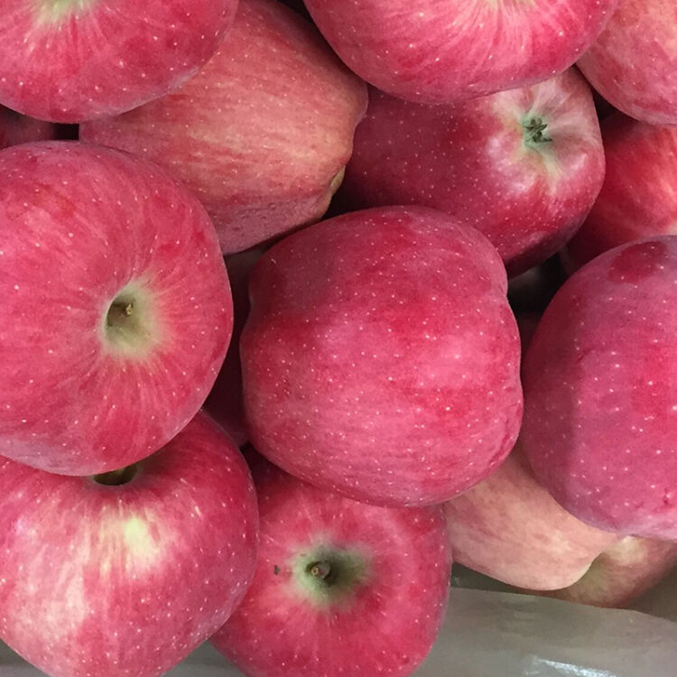 顶端果业 洛川苹果陕西红星粉面苹果20个新鲜苹果水果